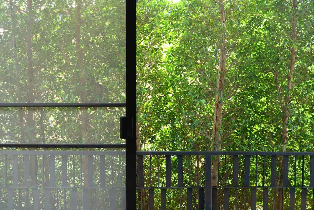 Window Screen Interior — Alpha Screens & Glass In Maroochydore, QLD